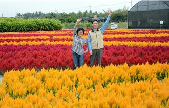 一年就等這一天！ 高雄區農改場迎賓日百花盛開