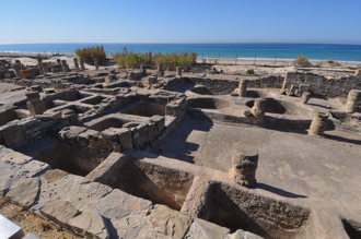 史前人懂城市規劃 6千年遺址出土 專家大讚了不起