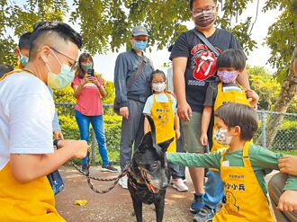 板桥 生命教育园区 开办宠物初老课程