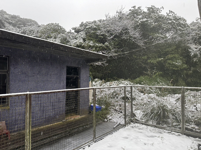 鞍部积雪约1公分，白雪覆盖屋舍、草地。（中央气象署提供）