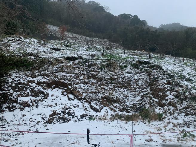 桃園復興下雪了後山3里停班課，車輛未加掛雪鍊不得上山。(蘇佐璽提供／呂筱蟬桃園傳真)