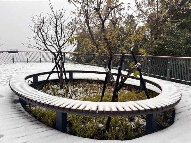 桃園復興下雪了後山3里停班課，車輛未加掛雪鍊不得上山。(蘇佐璽提供／呂筱蟬桃園傳真)