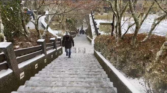 太平山国家森林游乐区地面覆盖着白雪，浪漫不已。（民眾提供／吴佩蓉宜兰传真）