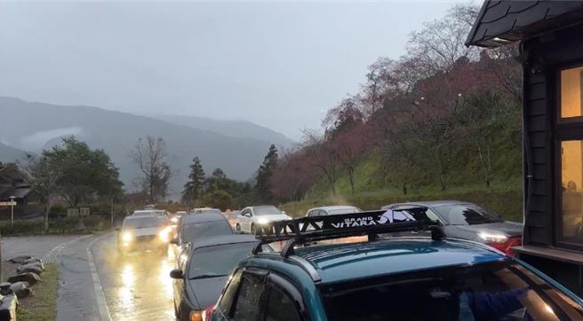 太平山国家森林游乐区入口区一早已大排车潮。（太平山国家森林游乐区提供／吴佩蓉宜兰传真）