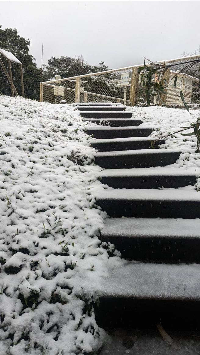 目前鞍部气象站气温回升至1度，雨夹冰霰，累积达4.2cm。（中央气象署提供／蔡亚桦台北传真） 