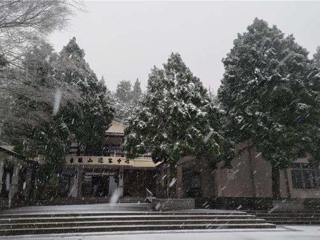 桃園東眼山睽違8年今天再度降雪。(林業署新竹分署提供／呂筱蟬桃園傳真)