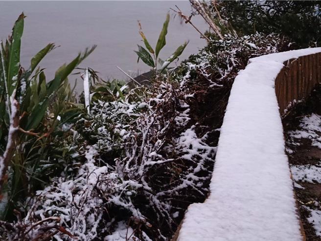 許多居民興奮到睡不著覺，跑到戶外追雪，山上白靄靄一片，猶如銀白世界。（翻攝陳維軍臉書）