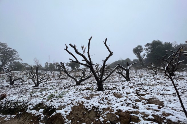 三峡北大清肺农场一片银白世界。（翻摄画面）