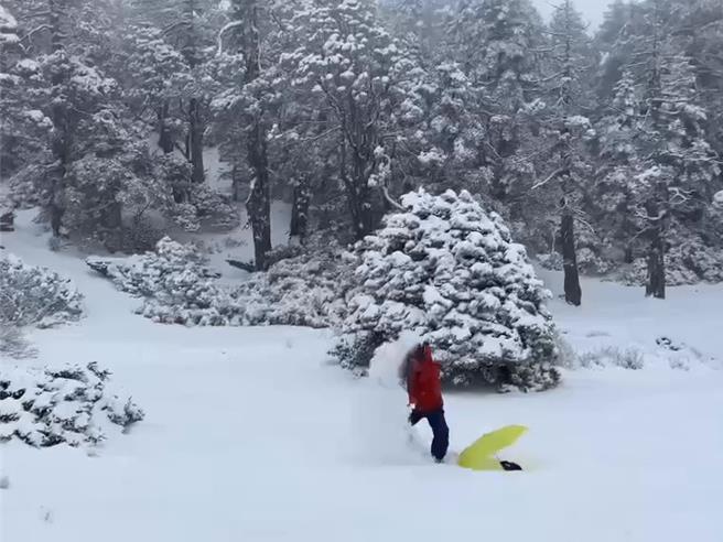 雪霸国家公园翠池降下超过20公分大雪，山友兴奋地在雪地里玩雪。（雪管处提供／谢明俊苗栗传真）