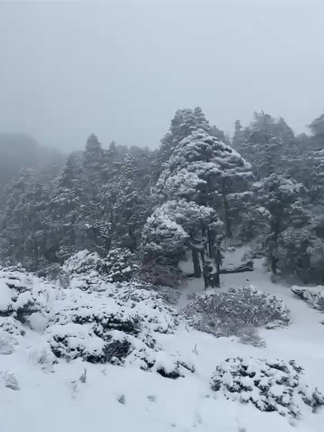 雪霸国家公园翠池降下超过20公分大雪，山友兴奋地在雪地里玩雪。（雪管处提供／谢明俊苗栗传真）