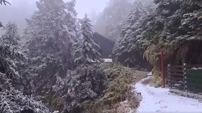 全台急冻！ 玉山、排云、塔塔加都飘雪，玉山北峰积雪达5公分。（翻摄自影片）