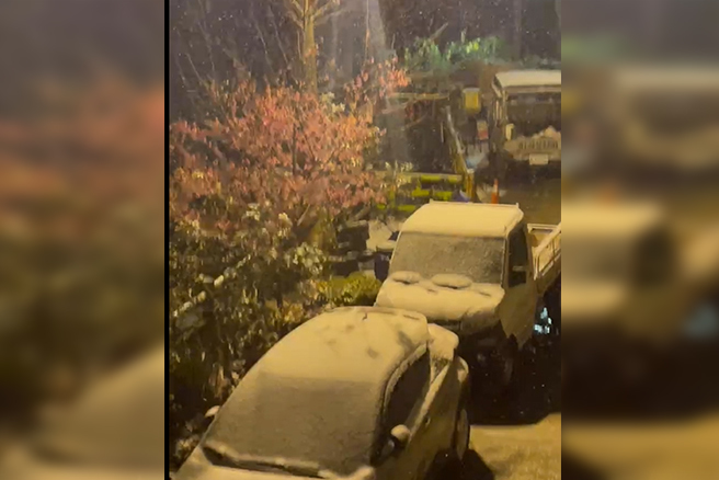 茂林情人谷也下雪了？降雪片網瘋傳 茂管處：假訊息。（截自影片）