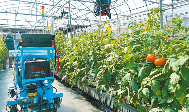 讓台灣傳統農業脫胎換骨，除須打造兼具創新及氣候韌性的AI農業，更要培育先進農業技術的人才。圖／本報資料照片