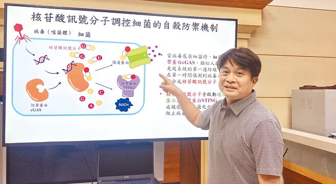 中兴大学副教授陈晔22日表示，团队研究发现新型「核苷酸讯号分子」－环双嘧啶核苷酸，并提出对抗「超级细菌」新解方，正研发不会产生抗体的新型抗生素药物。（陈淑芬摄）