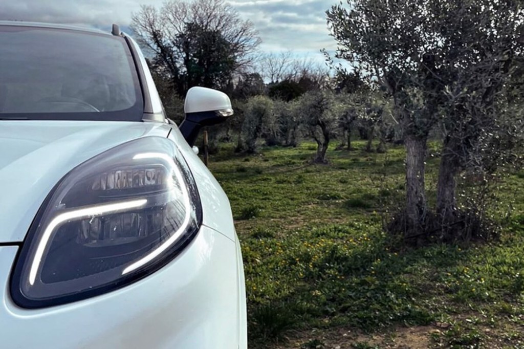 未來汽車的零件可以由橄欖製成！Ford啟動專門的COMPOlive專案(圖/Carstuff)