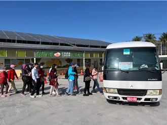 寒流發威梅花開 台南梅嶺假日接駁服務延長