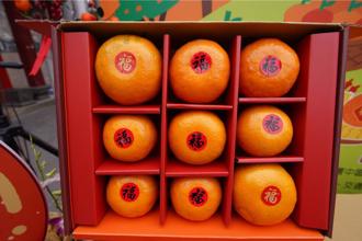 古坑茂谷柑獻貢、送禮誠意高 朝天宮採購120盒