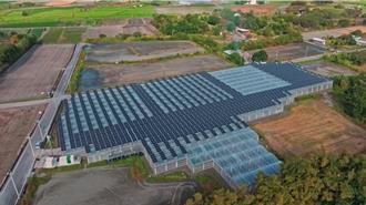 花蓮推廣種電兼種菜 綠能結合農業拚雙贏