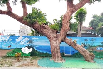 台東女中彩繪市區巷弄 夫妻樹借位拍照成新景點