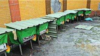 寒流侵襲死亡率飆升 基隆蜂農為蜂箱穿「外套」