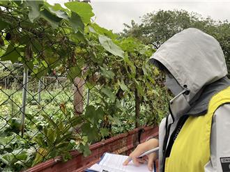 寒流急冻！新北提醒农友注意防寒措施 灾损达标准将争取救助