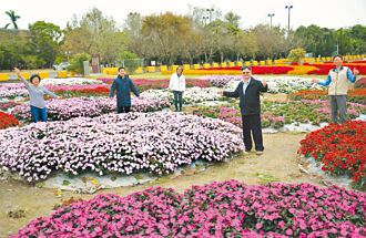 高雄區農改場百花齊放 1／27迎賓
