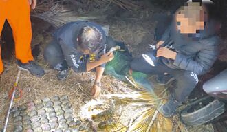 台東 男冒低溫違法採捕 20公斤水產放回保育區