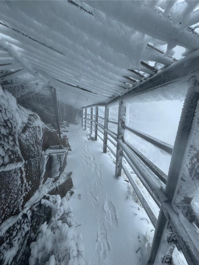 玉山主峰線步道積雪10公分，主峰前鐵棚區結了厚厚的霧淞遭冰封。（玉山國家公園提供／楊靜茹南投傳真）