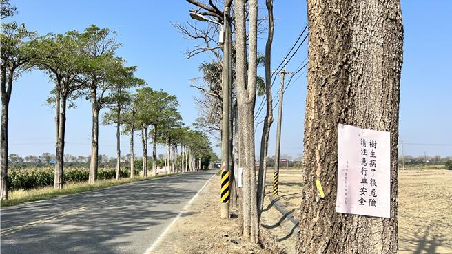 区公所特别张贴告示，提醒民眾注意行车安全。（张毓翎摄）
