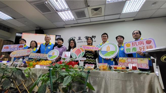 农业部台中区农业改良场与亚蔬世界蔬菜中心共同针对台湾栽培环境，歷时6年成功选育具丰产及抗病特性的红色及黄色甜椒新品种「台中亚蔬1号」及「台中亚蔬2号」，吃起来比国外进口的甜椒甜，维生素C比奇异果高两倍。（李欣恬摄）