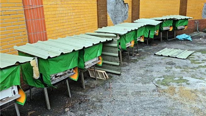 基隆市七堵瑪陵山區的蜂農，為蜂箱訂製看起來有點像外送箱的專屬「外套」，協助蜜蜂度過寒流來襲的冬天。（張志康攝）