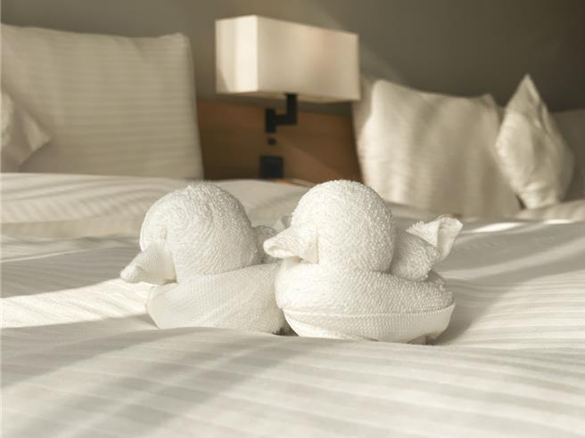 和逸饭店高雄馆「住在逸起丫」住房专案，舒适双人房每晚4188元起，专案含翌日早餐，另赠疗癒沐浴戏水组和期间限定款英式午茶组。(国泰饭店观光事业提供)