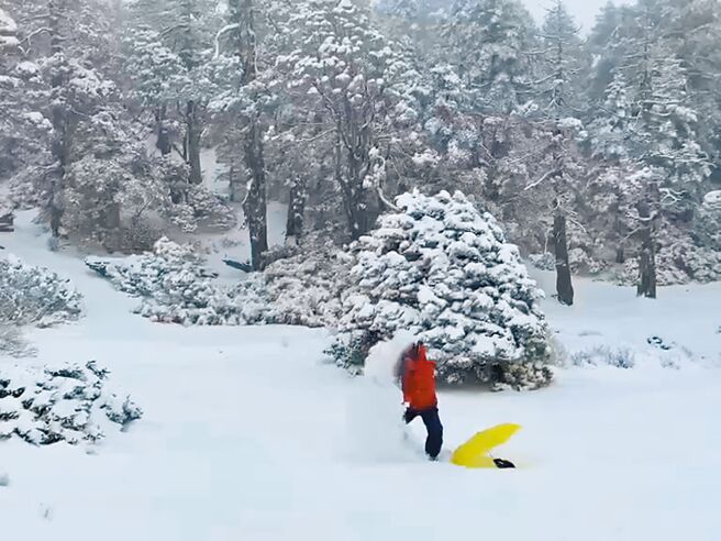 冷气团来袭，下周3500公尺以上高山，有4天可能出现降雪的情况，冷空气要一直到大年初四（13日）才会逐渐减弱。（示意图／雪管处提供／谢明俊苗栗传真）