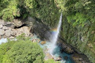 入園送紅包！森林遊樂區走春去 闔家出遊樂龍龍