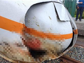 不能再放牛吃草 花蓮縣修正牛隻管理條例