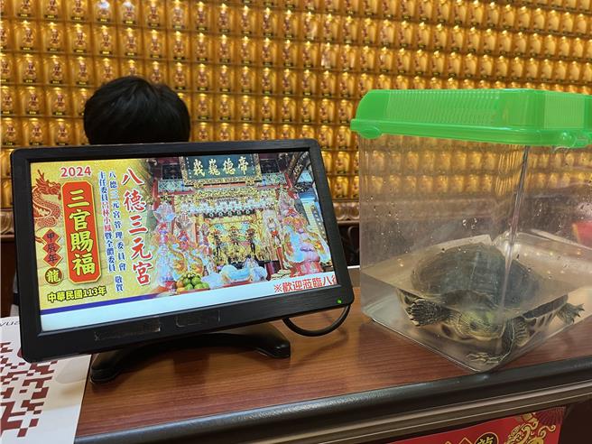 八德三元宮首度推出寵物平安燈，有民眾帶著家中的烏龜前來。（陳夢茹攝）