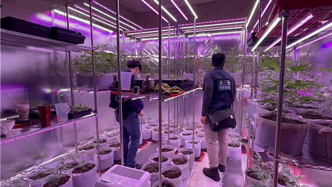 保三警破獲藏身已歇業的小吃店的大麻植栽場。（翻攝照片／洪靖宜高雄傳真）★《中時新聞網》關心您：保護自己、遠離毒品！