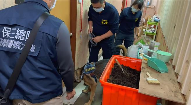 警犬「馬肯」聞出包廂有異。（翻攝照片／洪靖宜高雄傳真）★《中時新聞網》關心您：保護自己、遠離毒品！