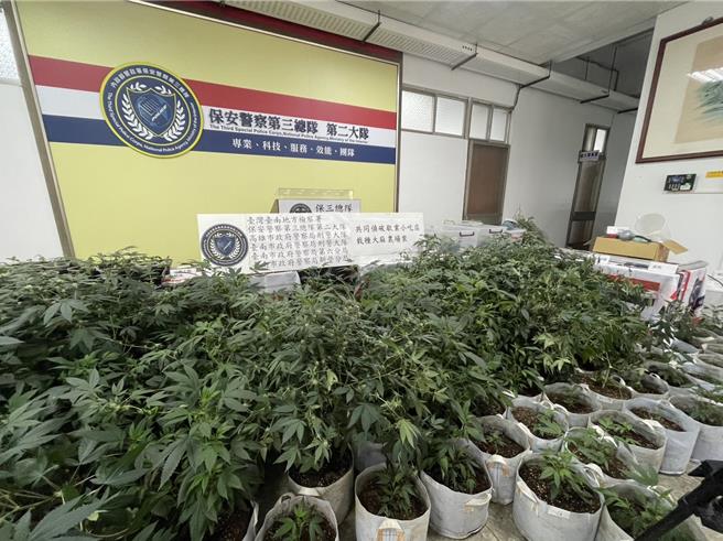 警方查扣272株大麻植栽、大麻花成品等證物。（洪靖宜攝）★《中時新聞網》關心您：保護自己、遠離毒品！