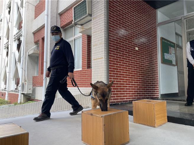 警犬「馬肯」。（翻攝照片／洪靖宜高雄傳真）★《中時新聞網》關心您：保護自己、遠離毒品！
