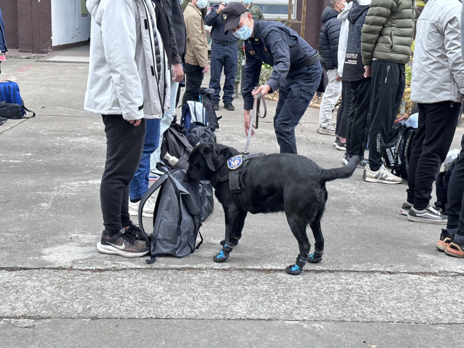 首批1年義務役男「菜鳥剃頭照」曝光！ 憲兵派緝毒犬安檢。(葉庭欣攝)