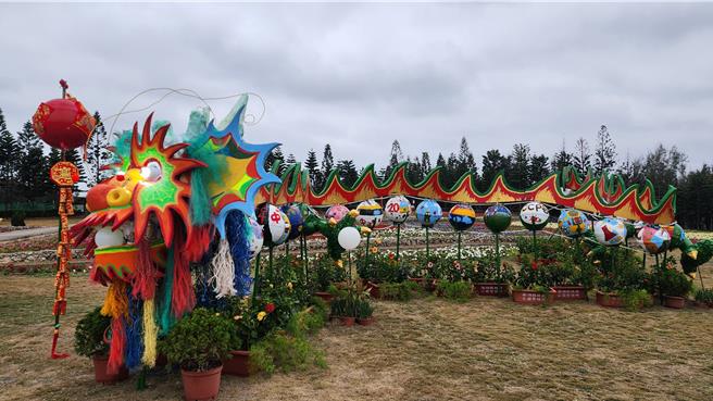 澎湖县政府迎接龙年，在澎湖休憩园区种植13万株矮牵牛，打造澎湖新春花海，花期至3月31日止，图为花海福球龙。（许逸民摄）