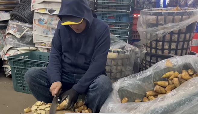 竹山镇公所笋子市场内，摊商冒着寒风以熟悉刀法帮冬笋去壳，因应春节期间年菜所需。竹山镇公所提供