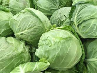 買高麗菜別再拍打！菜販教4招挑選「脆口又甜」