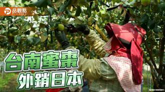 品觀點｜台南蜜棗正得時！首批外銷1.5噸 搶攻日本市場