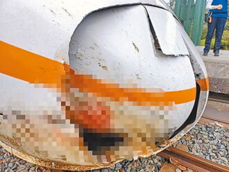 牛隻亂竄搞軌 花縣修法開罰飼主