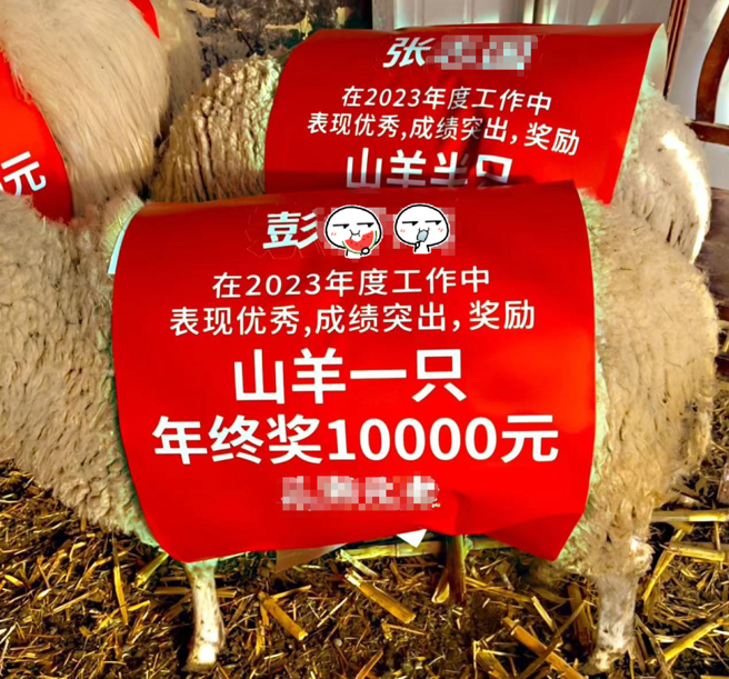 廣州一公司年終送員工「羊」。(取自九派新聞微博)