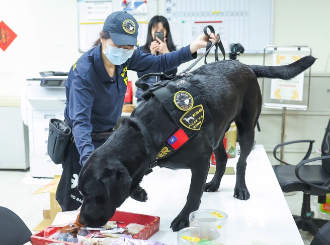 台湾第一只电子产品侦测犬「 WAFER」26日首次公开亮相，刑事局国际刑警科透过驻美西联络官及美国国土安全调查署（HSI）牵线，由美国非营利组织「地下铁路行动」，捐赠我警政署保安警察第三总队首只K9 电子产品侦测犬，在亮相记者会上，WAFER也展示优异的侦搜能力及出勤成效。（粘耿豪摄） 