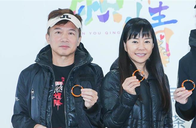 為救孫安佐遭「騙扁小子」詐30萬元，孫鵬、狄鶯出庭作證（本報資料照片）