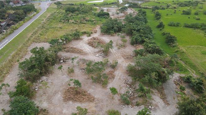 花莲分署于木瓜溪等高滩地，分年剷除外来种银合欢，并保留原生树种，加速原生植物復育。（林业署花莲分署提供／王志伟花莲传真）